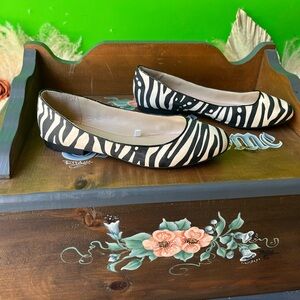 The limited zebra flats